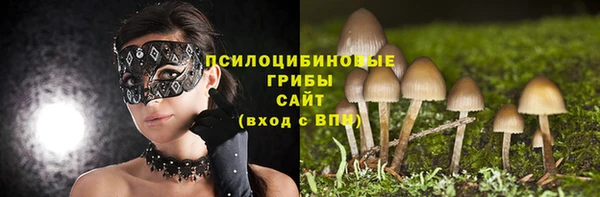 гидра Краснослободск