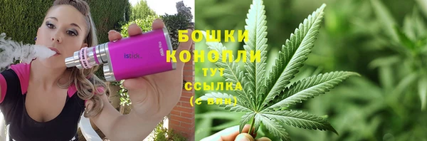 гидра Краснослободск