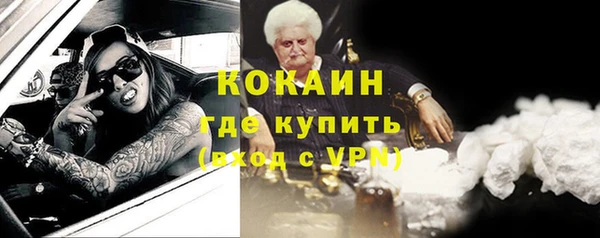 гидра Краснослободск