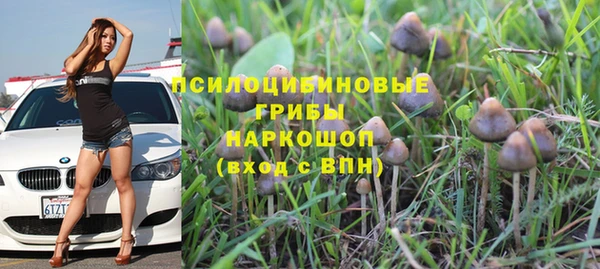 гидра Краснослободск