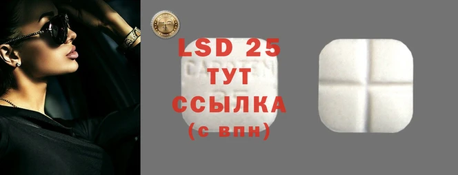 гидра Краснослободск