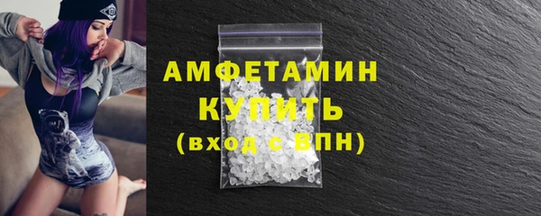 гидра Краснослободск
