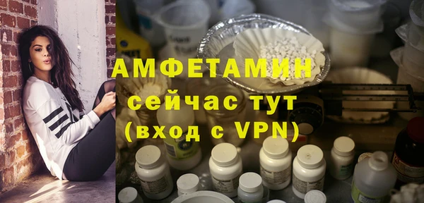 гидра Краснослободск