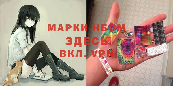 гидра Краснослободск
