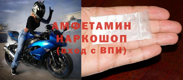 гидра Краснослободск