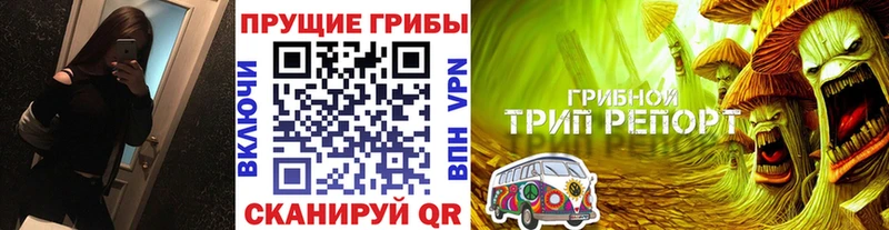 закладки  гидра tor  Галлюциногенные грибы GOLDEN TEACHER  Фрязино 